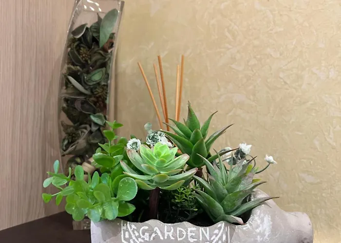 Casa I Cedri Borgo San Dalmazzo